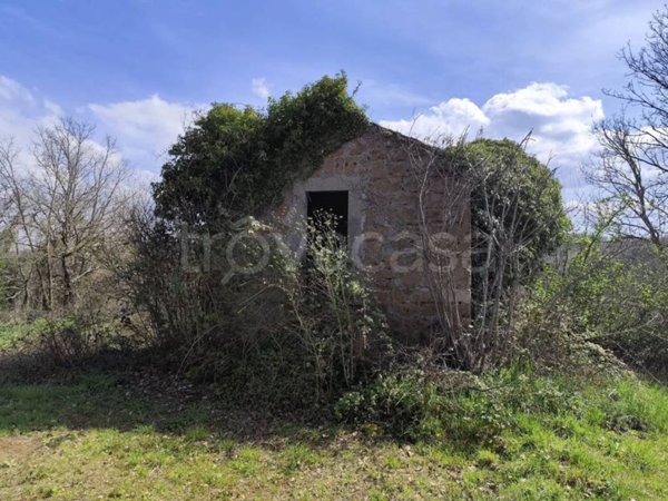 casa indipendente in vendita a Vitorchiano