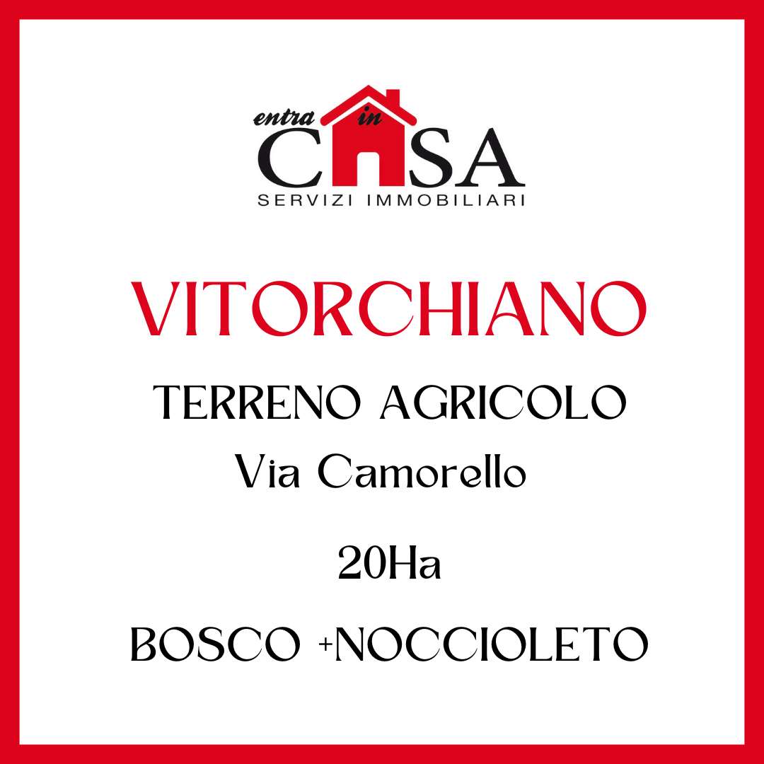 terreno agricolo in vendita a Vitorchiano