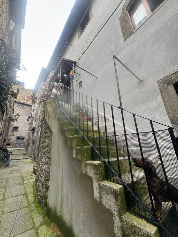 appartamento in vendita a Vitorchiano