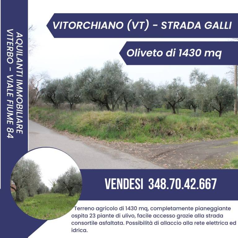 terreno agricolo in vendita a Vitorchiano