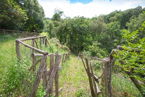 appartamento in vendita a Vitorchiano