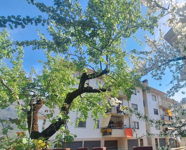 appartamento in vendita ad Antrodoco