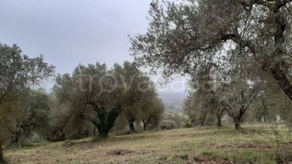 terreno agricolo in vendita a Borgorose in zona Santo Stefano