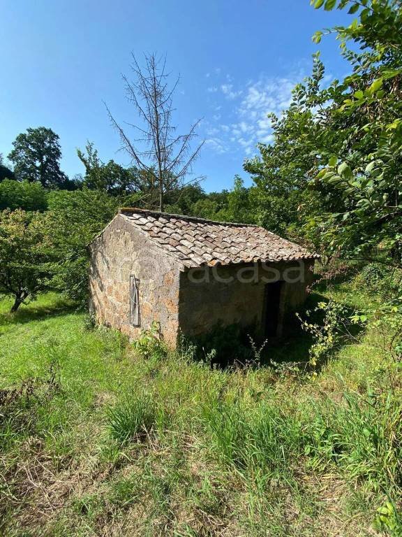 terreno agricolo in vendita a Borgorose in zona Santo Stefano
