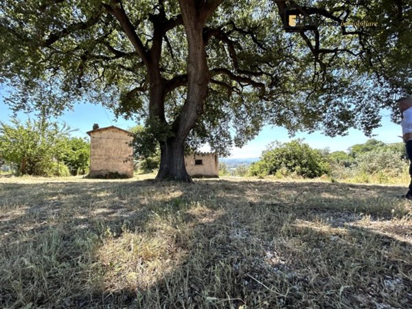casa indipendente in vendita a Cantalupo in Sabina