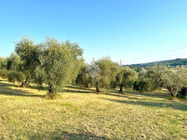 terreno agricolo in vendita a Cantalupo in Sabina