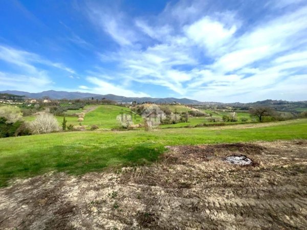 terreno agricolo in vendita a Cantalupo in Sabina