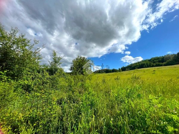 terreno agricolo in vendita a Cantalupo in Sabina
