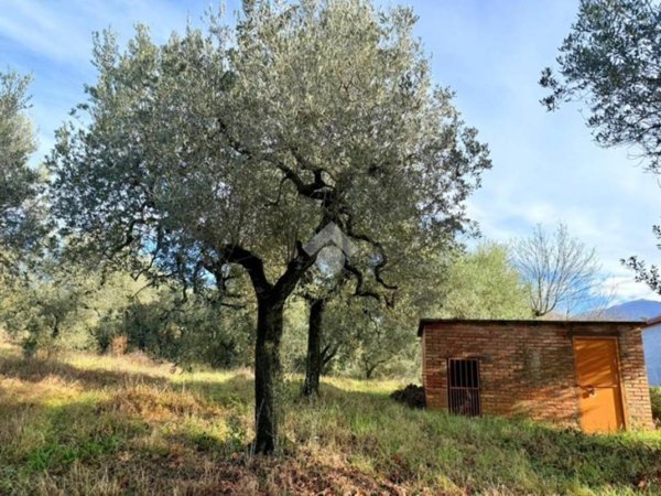 terreno agricolo in vendita a Cantalupo in Sabina