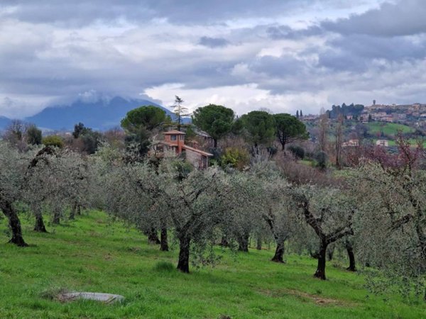 casa indipendente in vendita a Cantalupo in Sabina