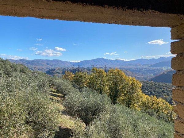 casa indipendente in vendita a Casaprota