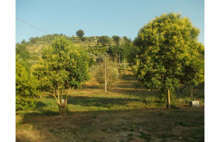 casa indipendente in vendita a Casaprota