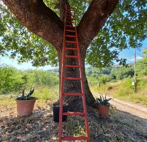casa indipendente in vendita a Casaprota in zona Collelungo Sabino
