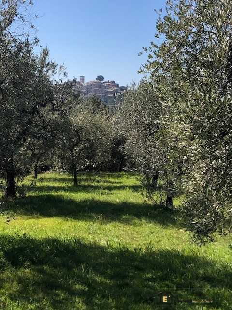 terreno agricolo in vendita a Casperia