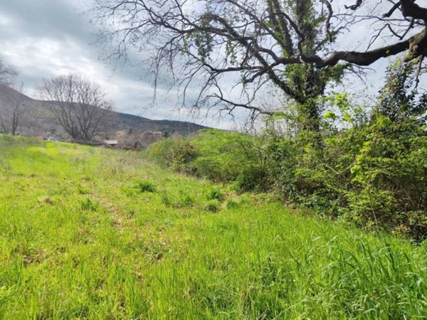 terreno agricolo in vendita a Casperia