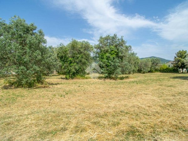 terreno agricolo in vendita a Casperia in zona Paranzano
