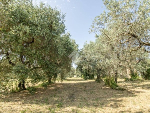 terreno agricolo in vendita a Casperia in zona Paranzano
