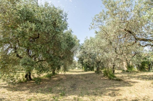 villa in vendita a Casperia in zona Paranzano