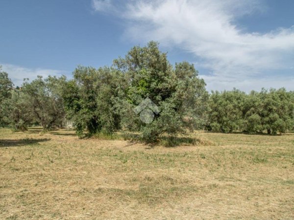 villa in vendita a Casperia in zona Paranzano