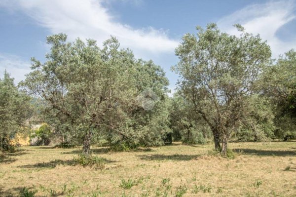 terreno agricolo in vendita a Casperia in zona Paranzano