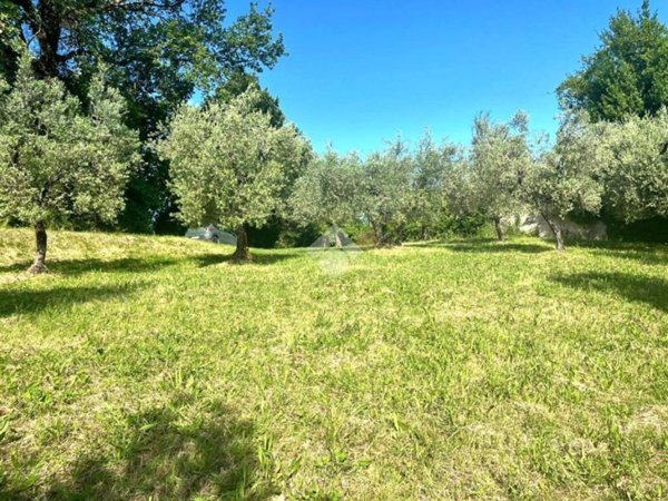 terreno agricolo in vendita a Casperia in zona San Vito