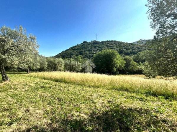 terreno agricolo in vendita a Casperia in zona San Vito