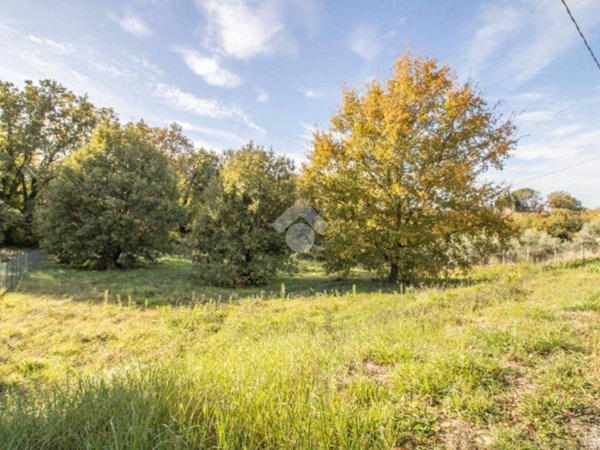 terreno agricolo in vendita a Casperia