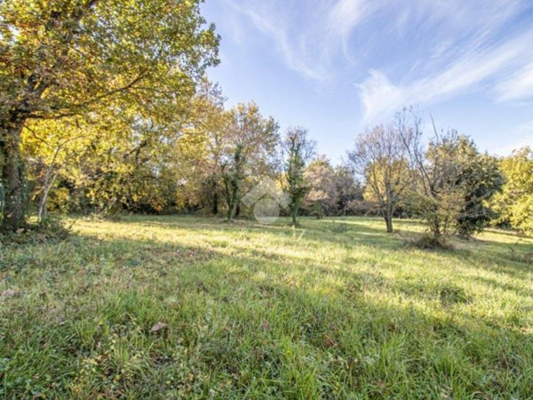 terreno agricolo in vendita a Casperia