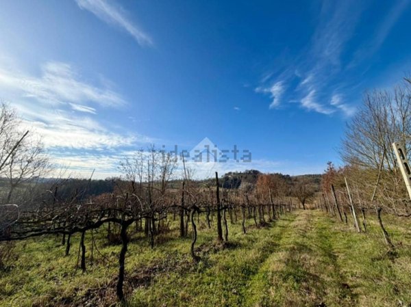 terreno agricolo in vendita a Casperia
