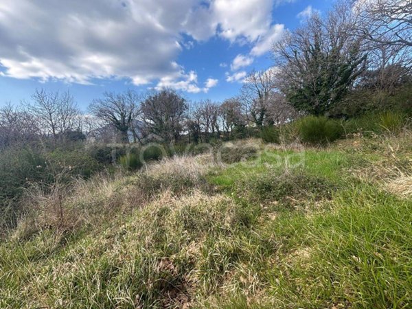 terreno agricolo in vendita a Casperia