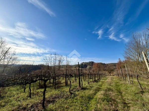 terreno agricolo in vendita a Casperia in zona Paranzano