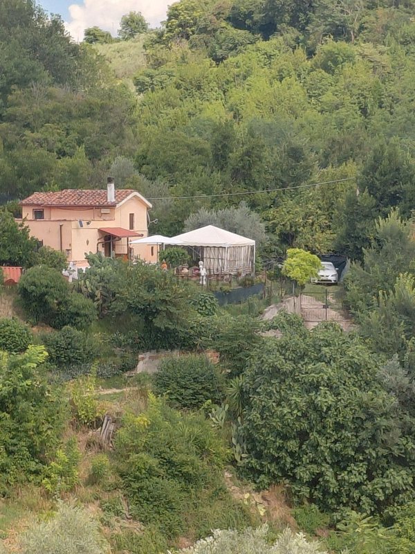 pentavano in vendita a Castelnuovo di Farfa