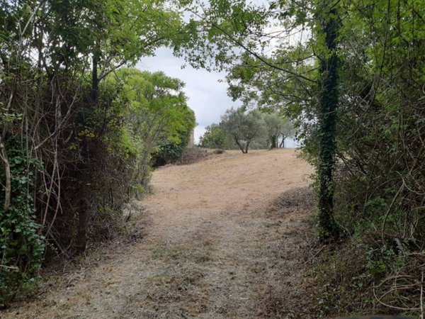 casa indipendente in vendita a Cittaducale in zona Santa Rufina