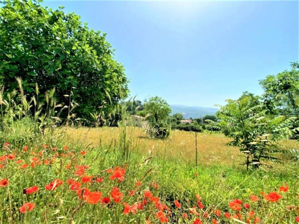 terreno agricolo in vendita a Cittaducale in zona Caporio