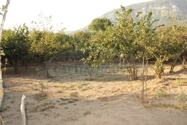 terreno agricolo in vendita a Cittaducale