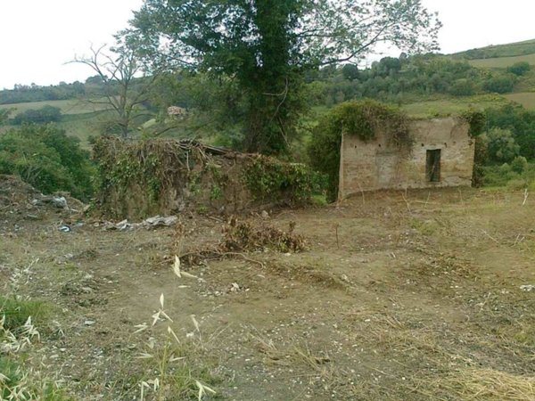 casa indipendente in vendita a Collevecchio