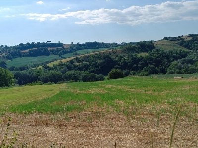 terreno agricolo in vendita a Collevecchio in zona Cicignano