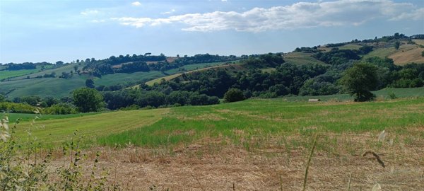 terreno agricolo in vendita a Collevecchio in zona Cicignano