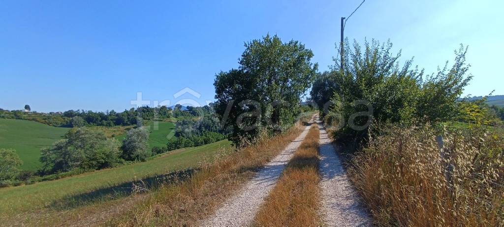 terreno agricolo in vendita a Collevecchio in zona Cicignano