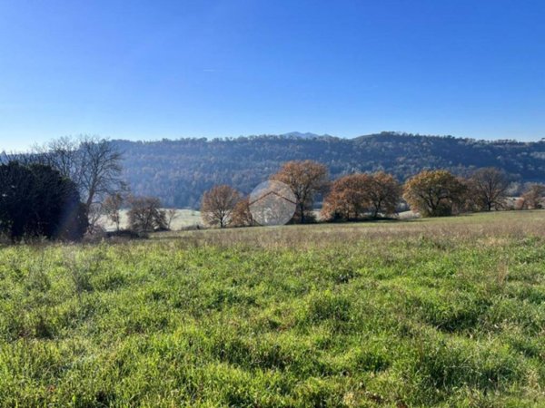 terreno agricolo in vendita a Collevecchio