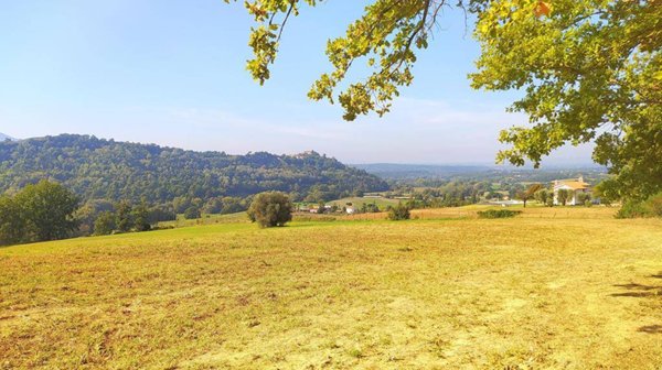 terreno agricolo in vendita a Collevecchio
