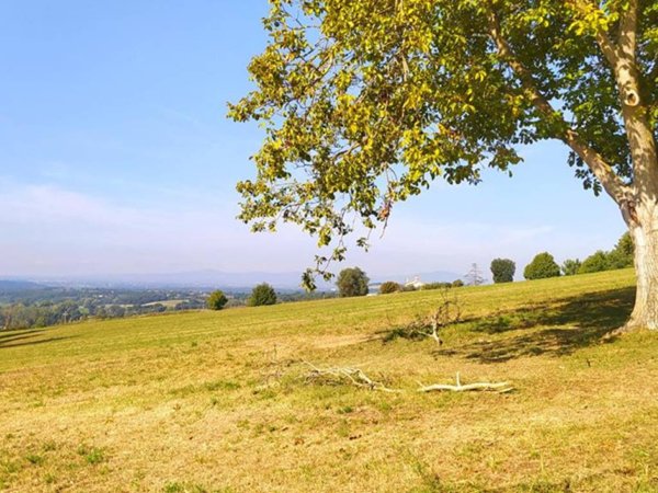 terreno agricolo in vendita a Collevecchio