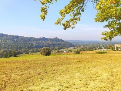 terreno agricolo in vendita a Collevecchio