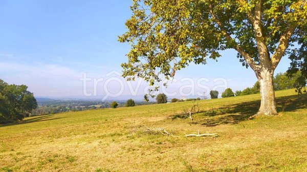 terreno agricolo in vendita a Collevecchio