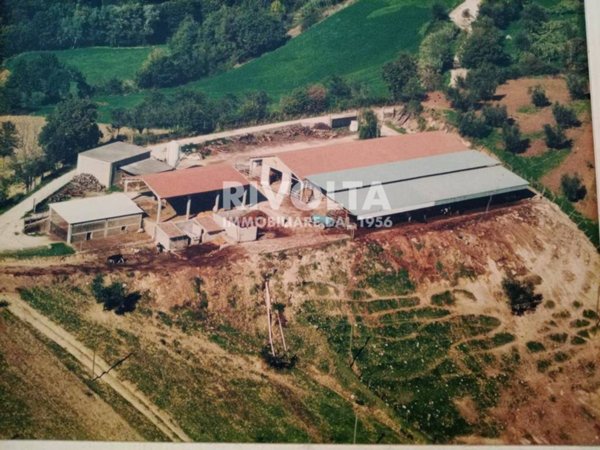 terreno agricolo in vendita a Collevecchio in zona Cicignano