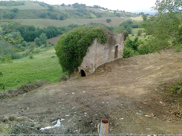 appartamento in vendita a Collevecchio