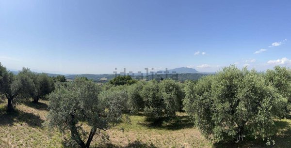 terreno edificabile in vendita a Collevecchio
