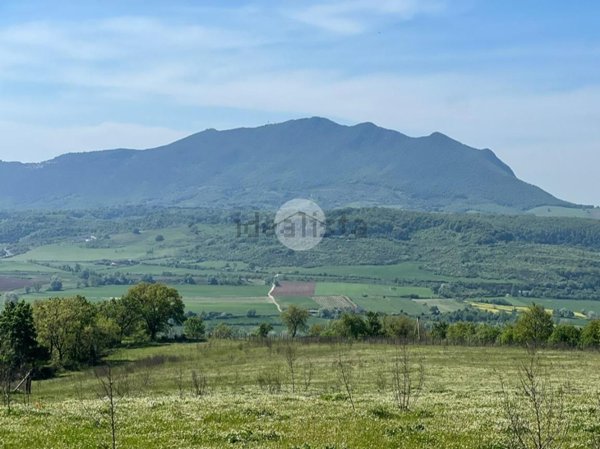 terreno agricolo in vendita a Collevecchio in zona Poggio Sommavilla