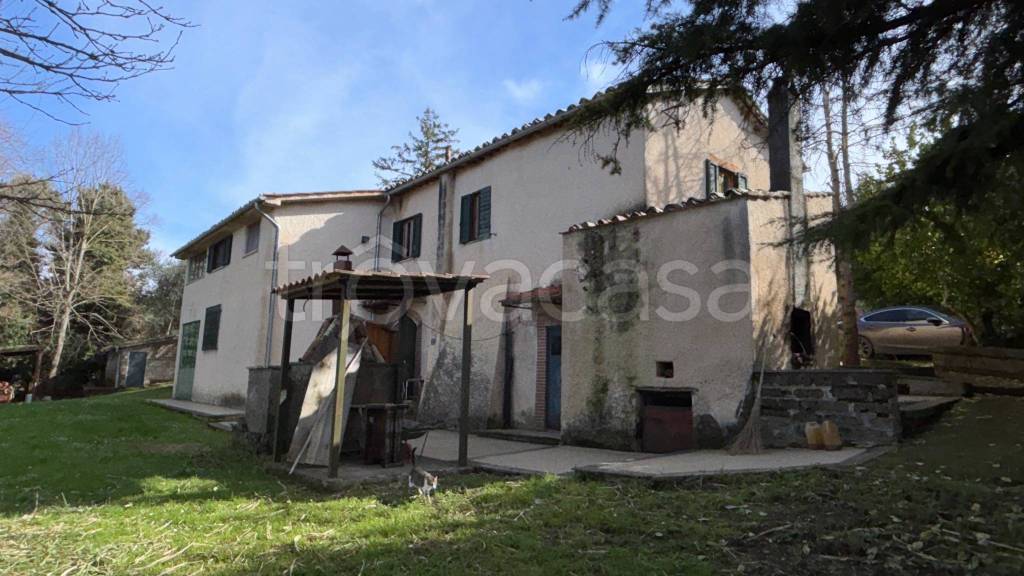 terreno agricolo in vendita a Collevecchio