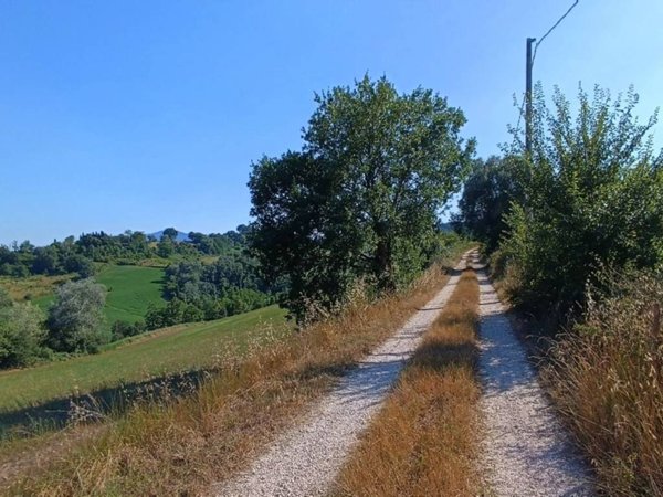 terreno agricolo in vendita a Collevecchio in zona Cicignano